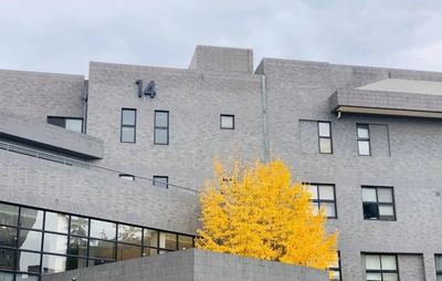 在央美上学是什么感觉?今天北京画室老师带你来体验一把!