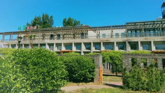 北京画室校考冲刺班 艺术人生的关键抉择与理性审视