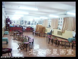 北京帝星画室 专业艺术教育的璀璨之星